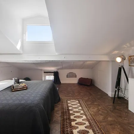 Appartamento Cocoon Loft - Magnifique Loft Sous Toit, Refait A Neuf, Vues Splendides, Clim, Wifi Nizza